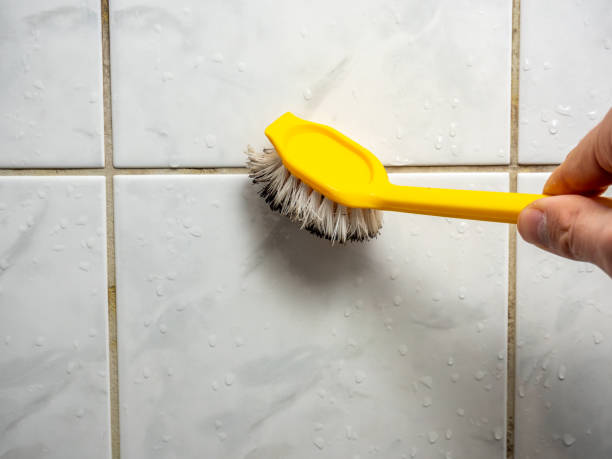 Best Certified Mold Removal  in Sandy Oaks, TX