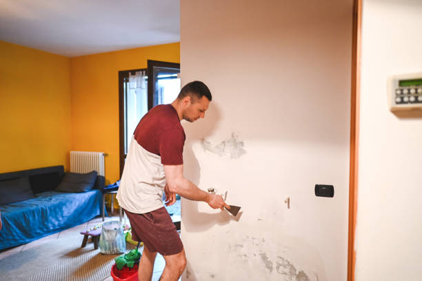 Best Home Mold Removal  in Sandy Oaks, TX
